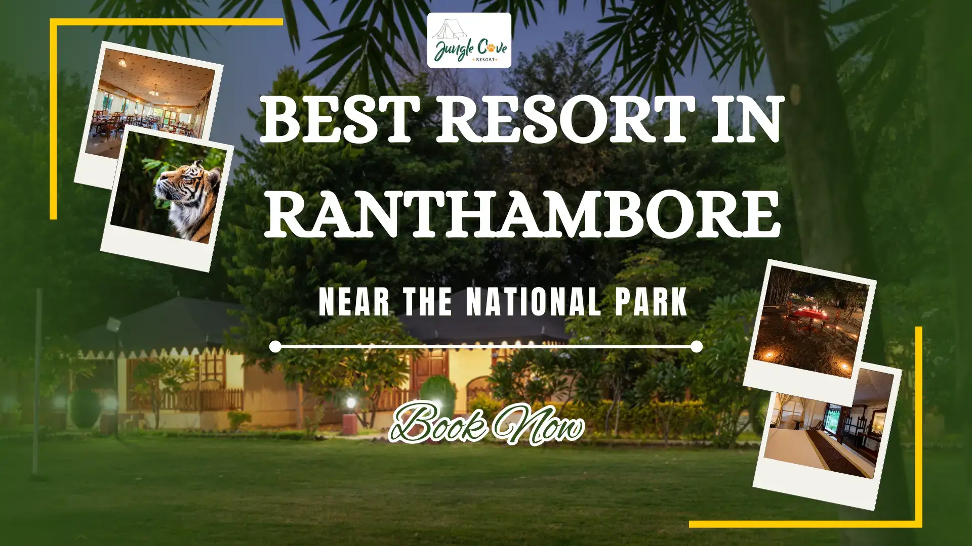 Best Resorts Near Ranthambore National Park: How to Pick the Right One